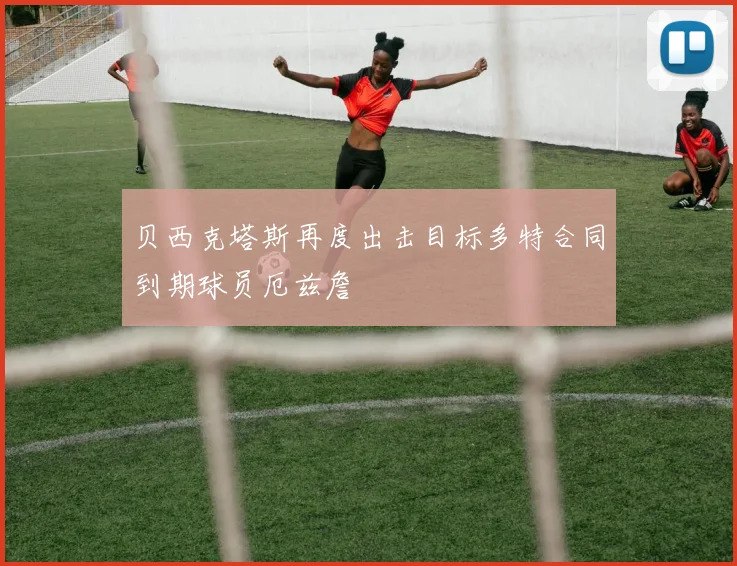 贝西克塔斯再度出击目标多特合同到期球员厄兹詹